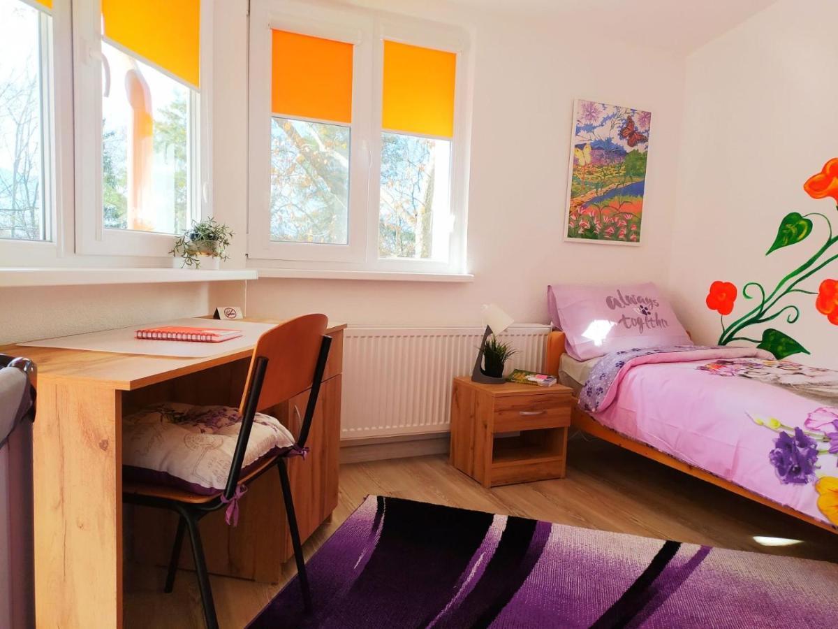 Дом За Гости Осогово Apartment Kiustendil Exterior foto